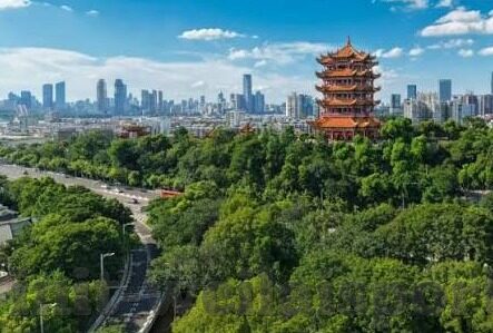 足球比分即时比分手机-足球比分即时更新神器，手机应用如何重塑你的观赛体验